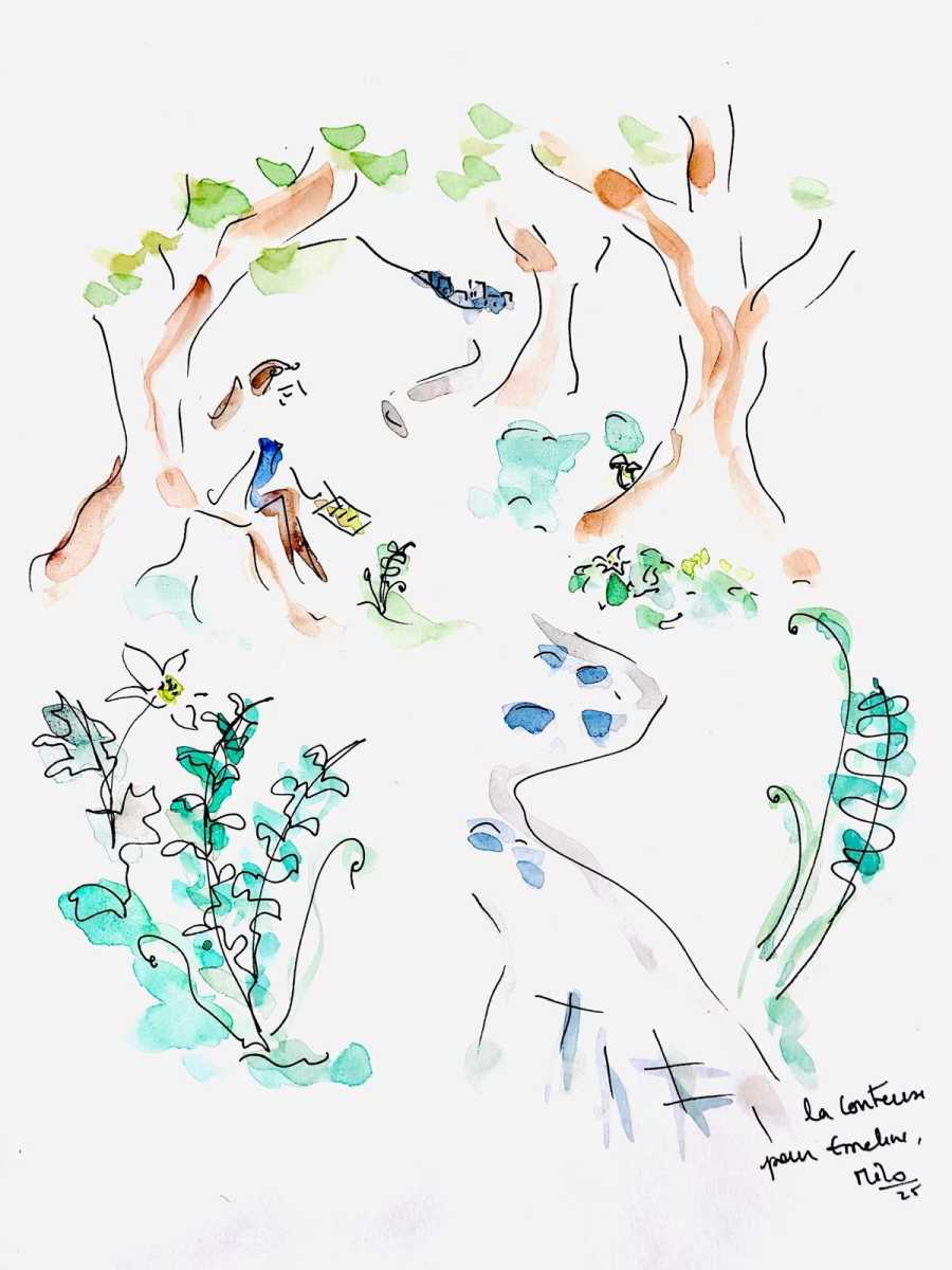 Bromeliaceae_Nidularium_angustifolium_2.jpg Bromeliaceae_Nidularium_angustifolium_2.jpg