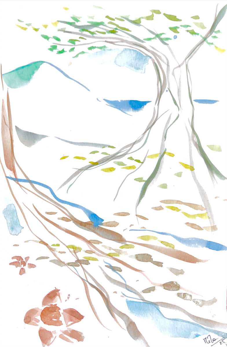 Bromeliaceae_Nidularium_angustifolium_2.jpg Bromeliaceae_Nidularium_angustifolium_2.jpg