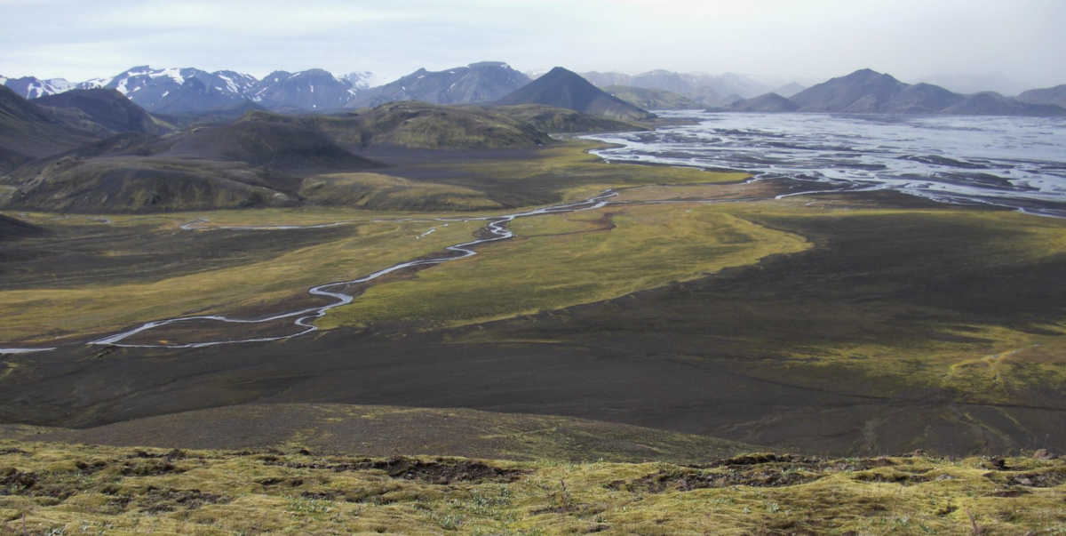 Bromeliaceae_Nidularium_angustifolium_2.jpg Bromeliaceae_Nidularium_angustifolium_2.jpg